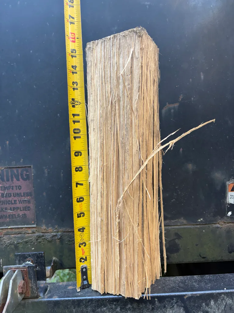 A split firewood log beside a tape measure showing a length of approximately 16 inches