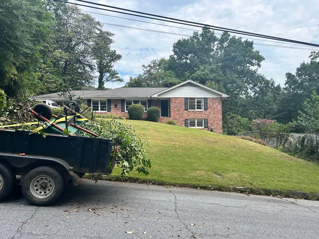 Cut brush loaded after cleanup at a brick house