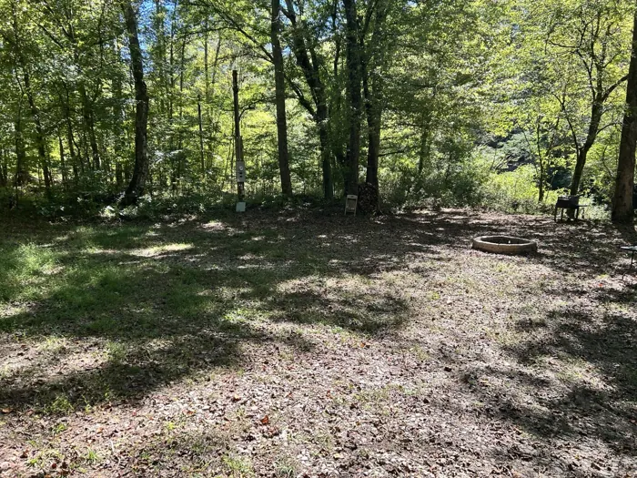 Wooded grounds at the developed Tallapoosa Hideaway, photographed by Daniel